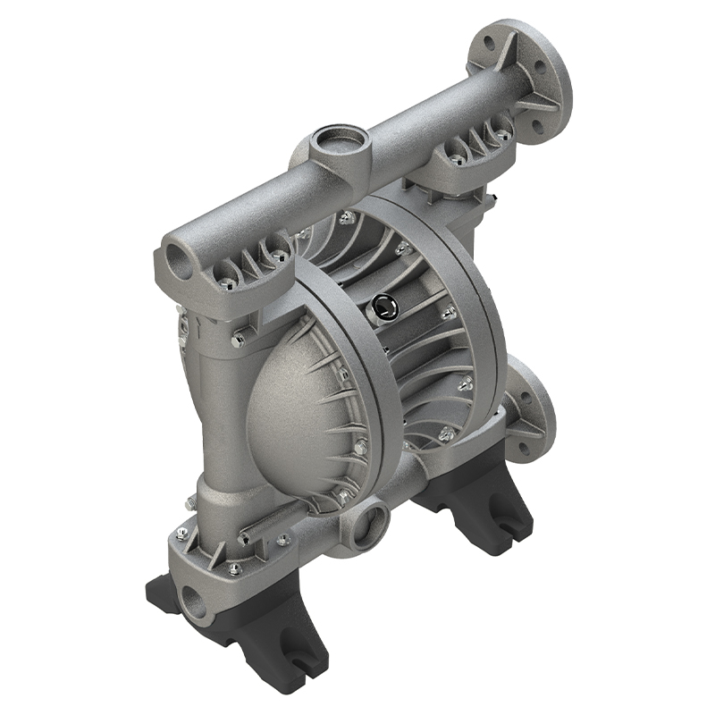 Double diaphragm pump DMP model 2" metal