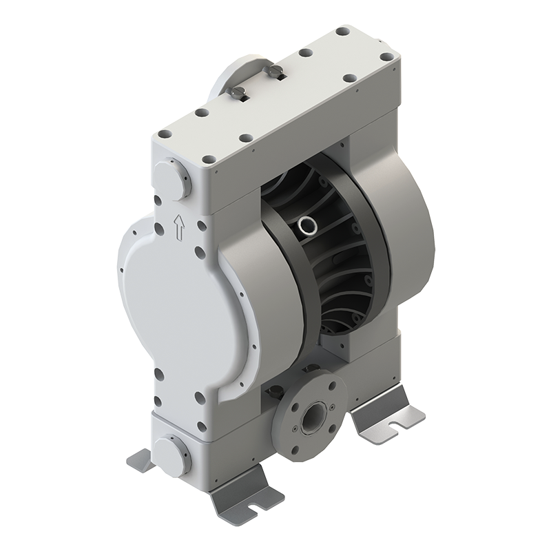 Double diaphragm pump DMP model 2" PEE PURE